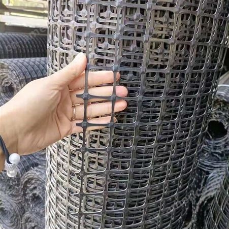 奥焱 养鸡鸭黑色塑料围网 果园阳台防护网 新型玉米网 免费寄样