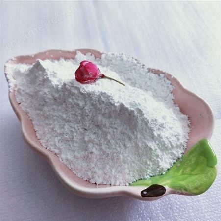 重质碳酸钙 橡胶填充用重钙 涂料腻子粉用钙粉 诚诺厂家供应