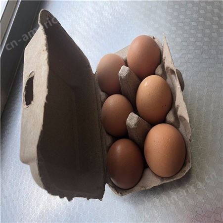 6枚鸡蛋保护托-卓尔纸塑-厂家出售-环保可降解