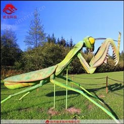 仿真昆虫大型螳螂雕塑电动橡胶昆虫模型科普展览机械模型装置公司