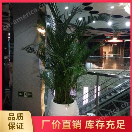 北京玻璃钢花盆厂家  酒店落地花钵 售楼部玻璃钢花盆 可定制