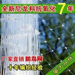 果园防鸟网厂家 安平葡萄防鸟网 防鸟网 尼龙防鸟网