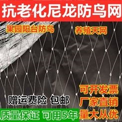 尼龙防鸟网生产厂家 葡萄防鸟网 泥鳅盖防鸟网