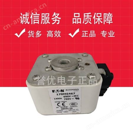 170M6467 进口巴斯曼熔断器保险熔断体全新-江苏誉优电子代理