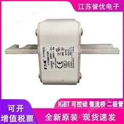 170M6271进口原装巴斯曼熔断器保险丝-江苏誉优电子代理