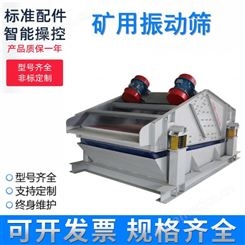 上海晟图厂家生产振动筛淘金机械