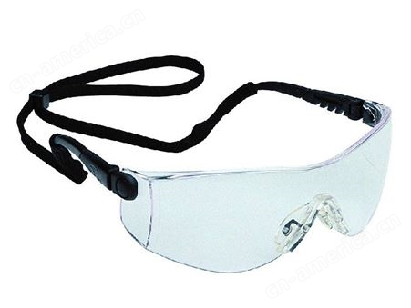 霍尼韦尔1002781/2782/2783防雾防护眼镜