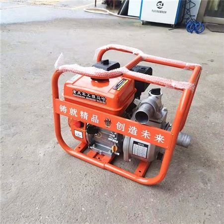 应急排涝柴油机水泵 直连汽油自吸泵 手推式抽水泵