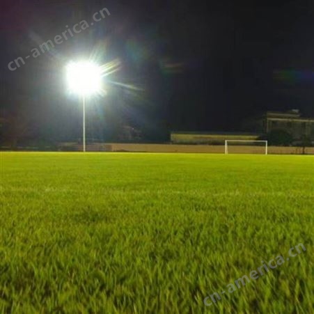南澳县 长寿足球场LED灯具 3年 优格体育照明