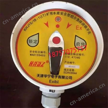 GUD-330 本质安全型堆煤传感器 天津华宁