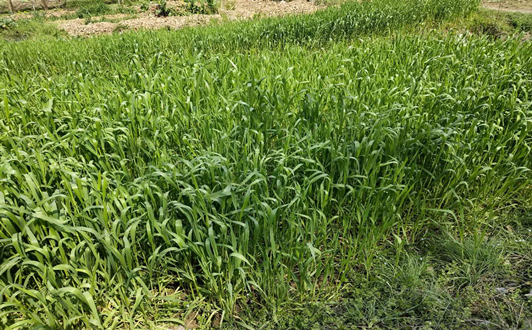 宁夏隆德县“三秋”农机安全检查保护农机安全生产